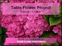 Team Flora Photonics P.P.