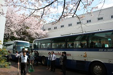 今年は青いバス