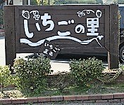 イチゴの里