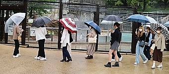 ペンギンの前を通過